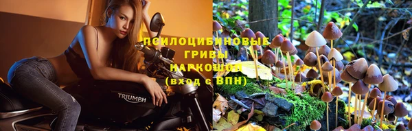 герыч Баксан