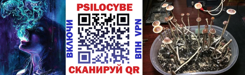 Купить закладки  Томари  Галлюциногенные грибы прущие грибы 
